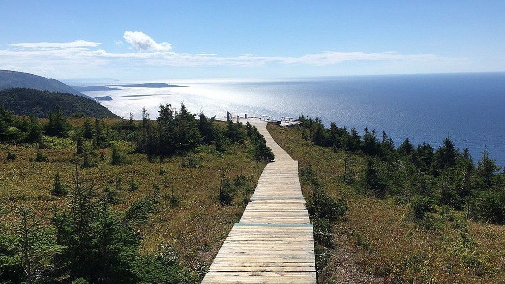 Skyline Trail