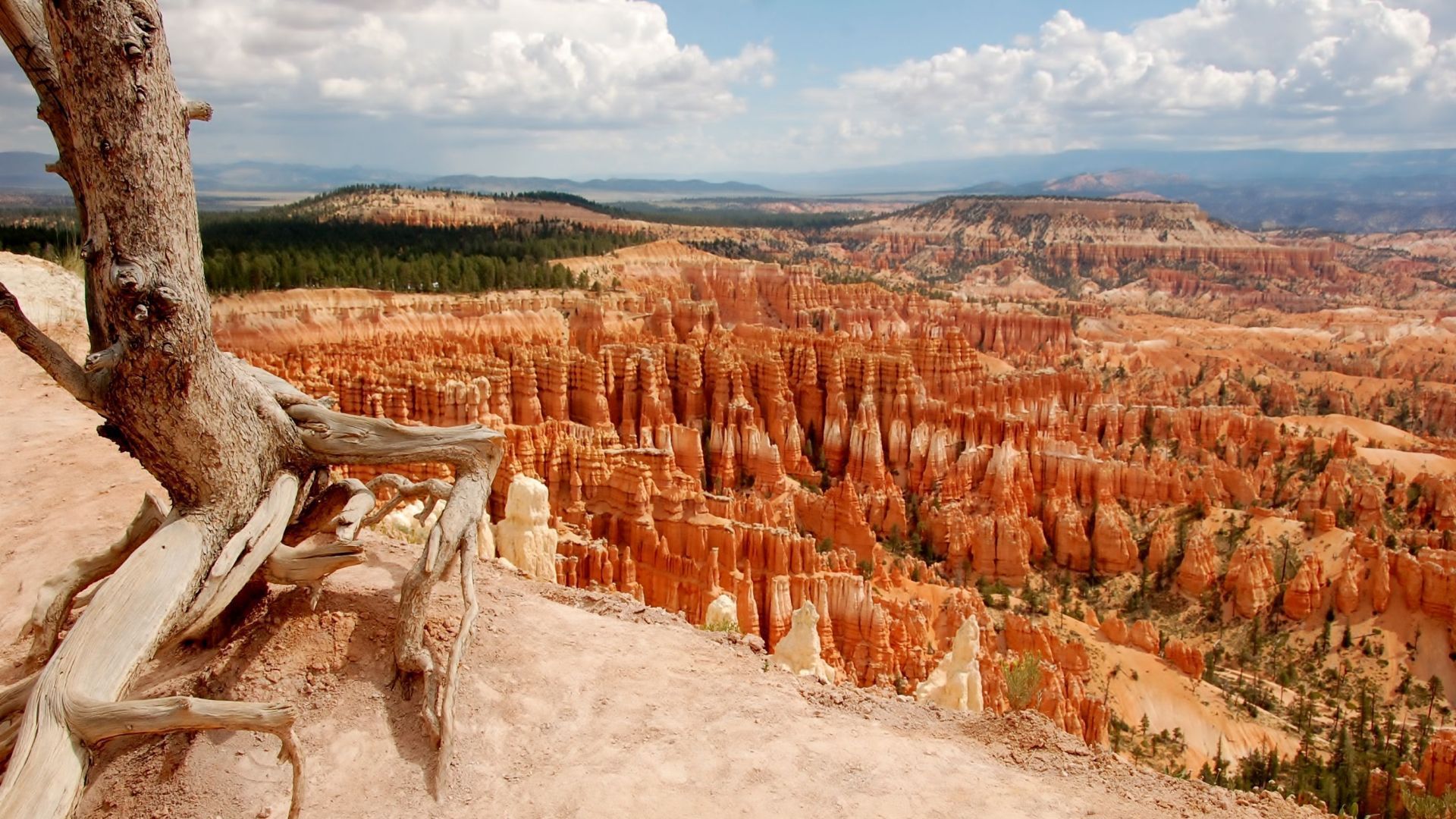 Bryce Canyon, Utah