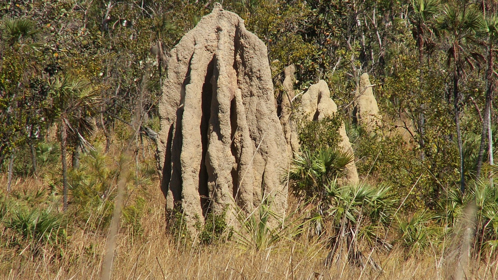 Litchfield National Park