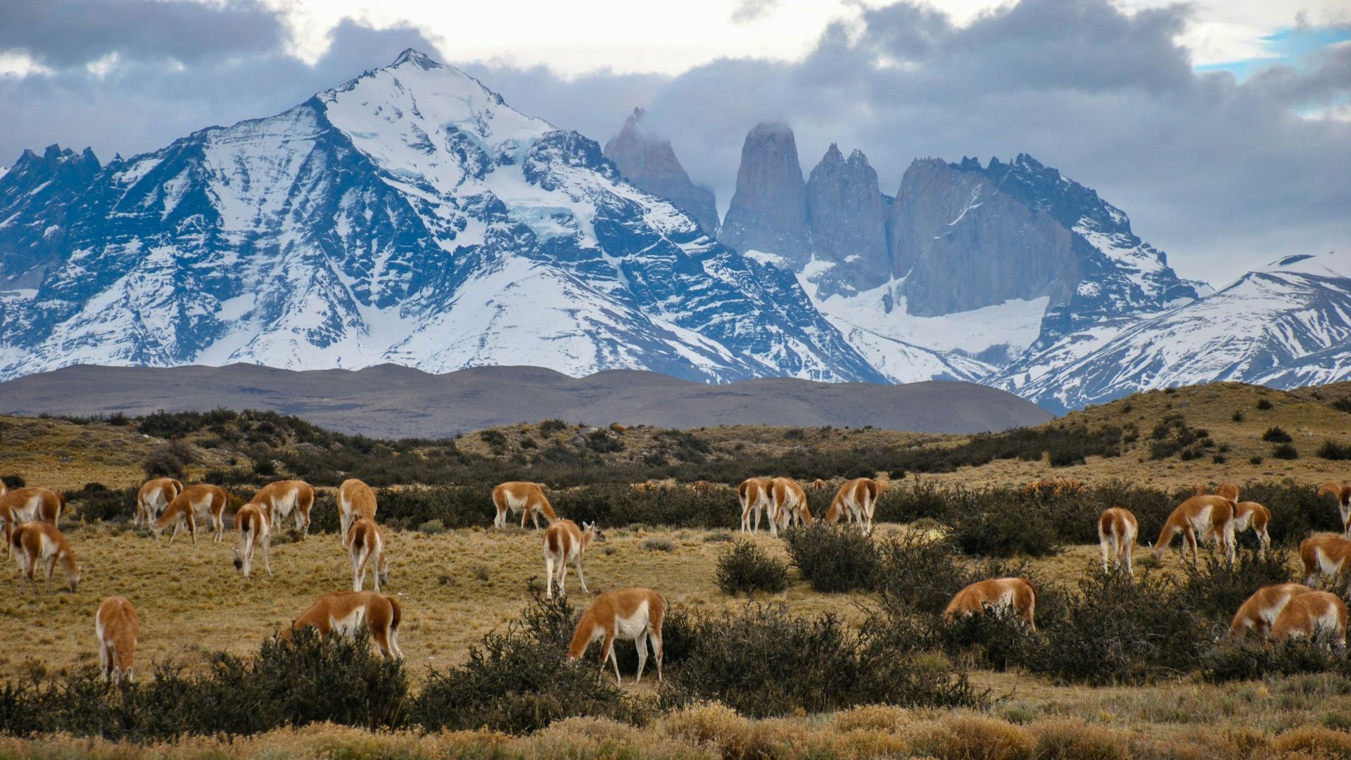 Nationalpark Torres del Paine