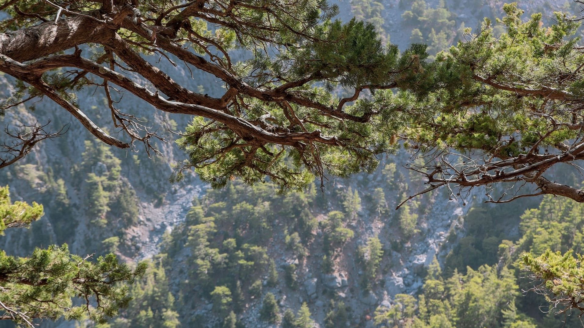 Wandern durch die Samaria Schlucht