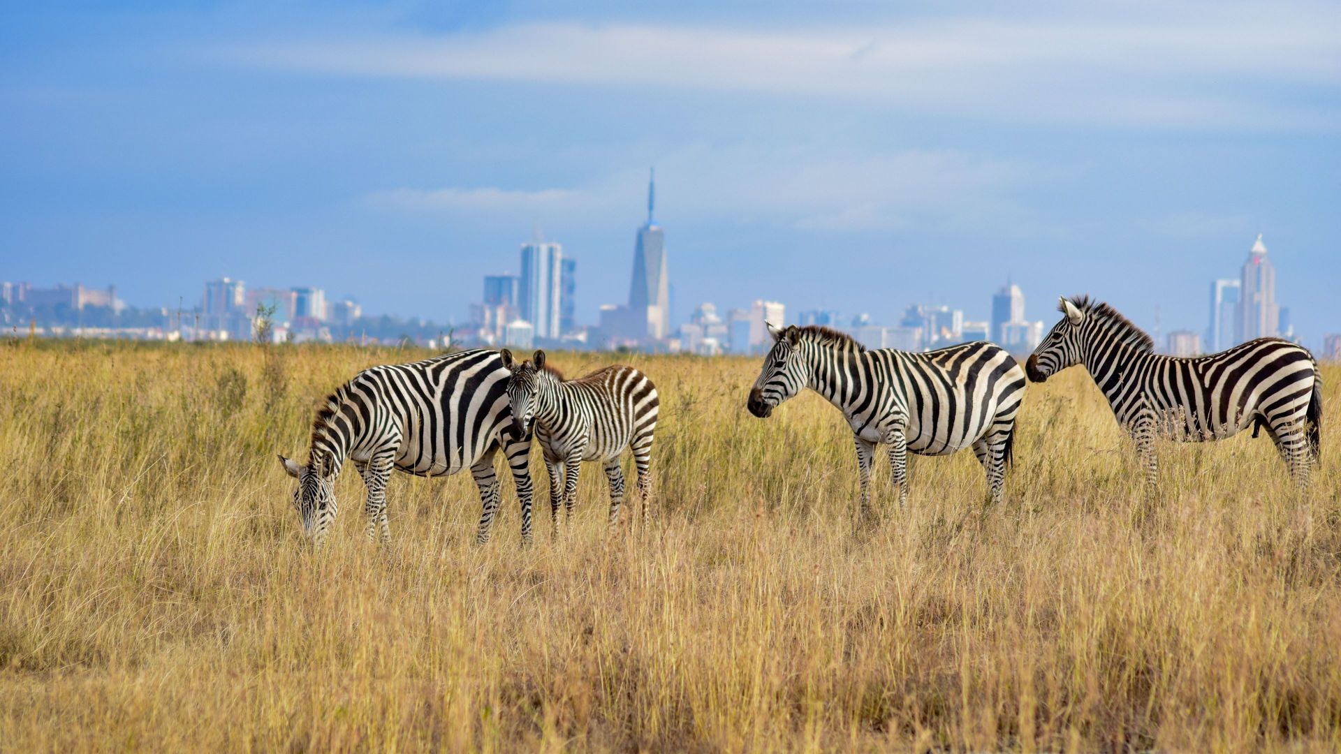 Nairobi Nationalpark