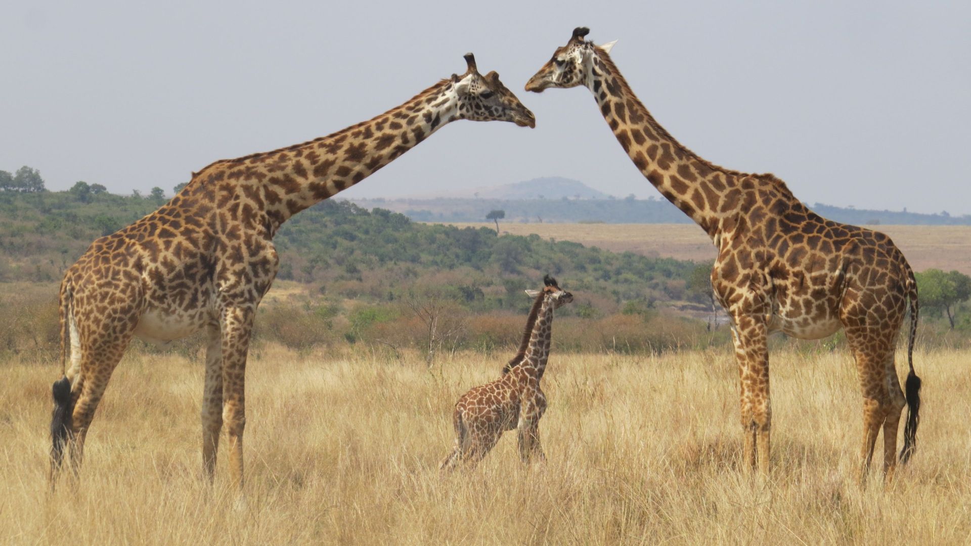 Lake Manyara