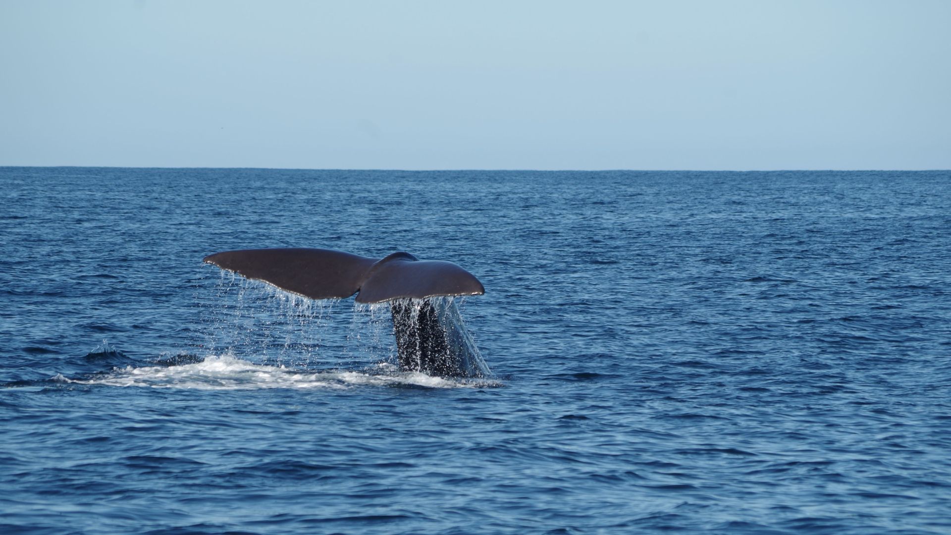 Kaikoura