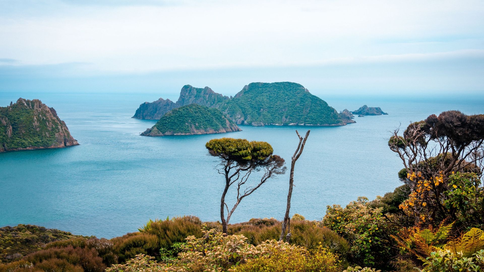 Stewart Island