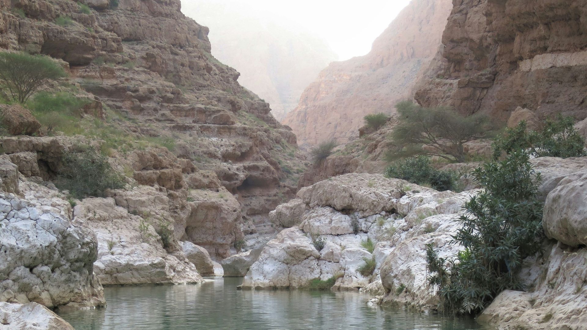 Wadi Shab