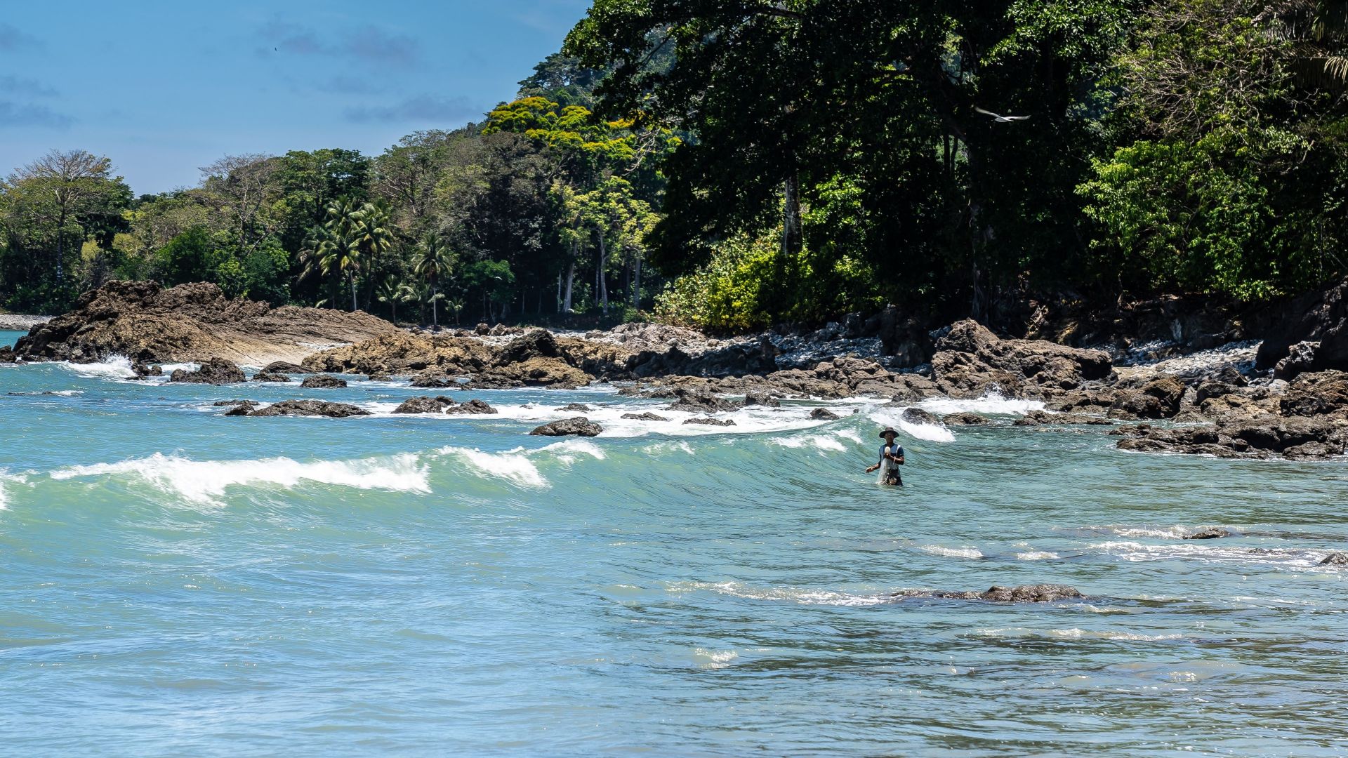 Osa Peninsula