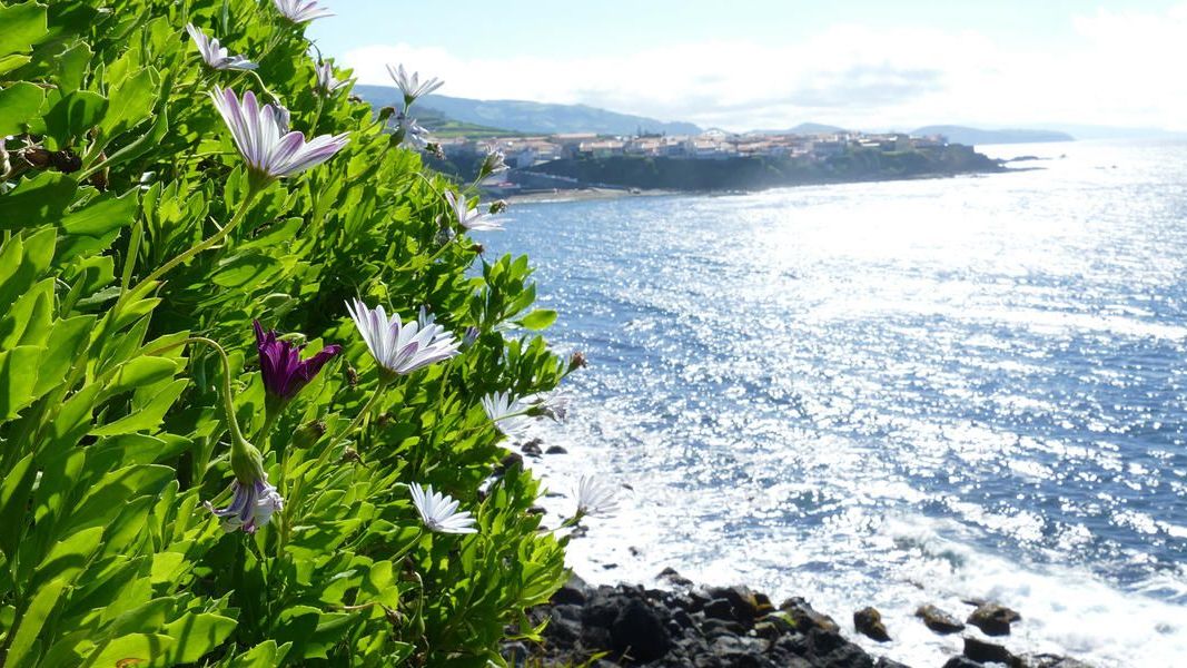 Rundreise Azoren - Die schöne Grüne im Atlantik