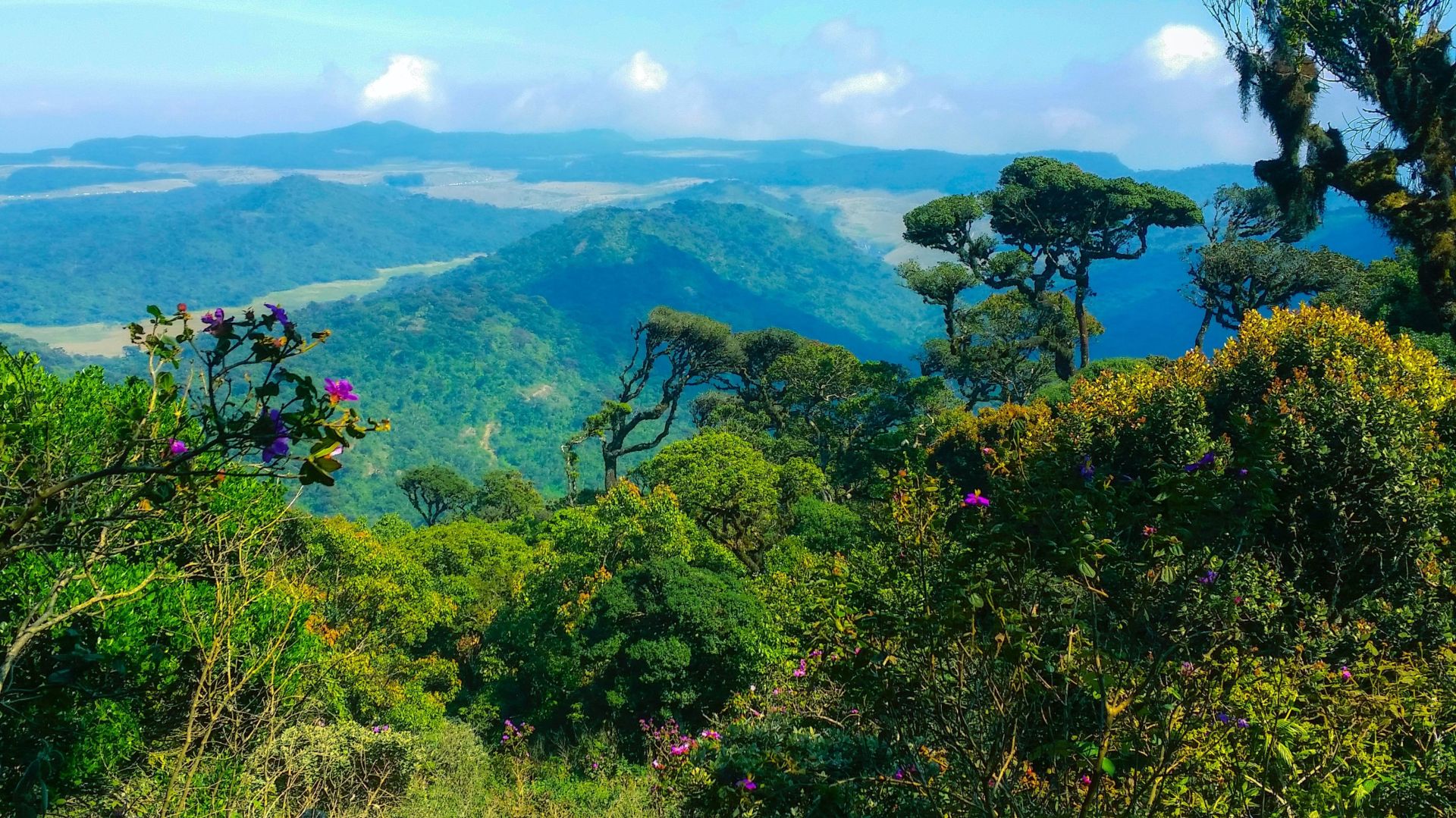 Nuwara Eliya