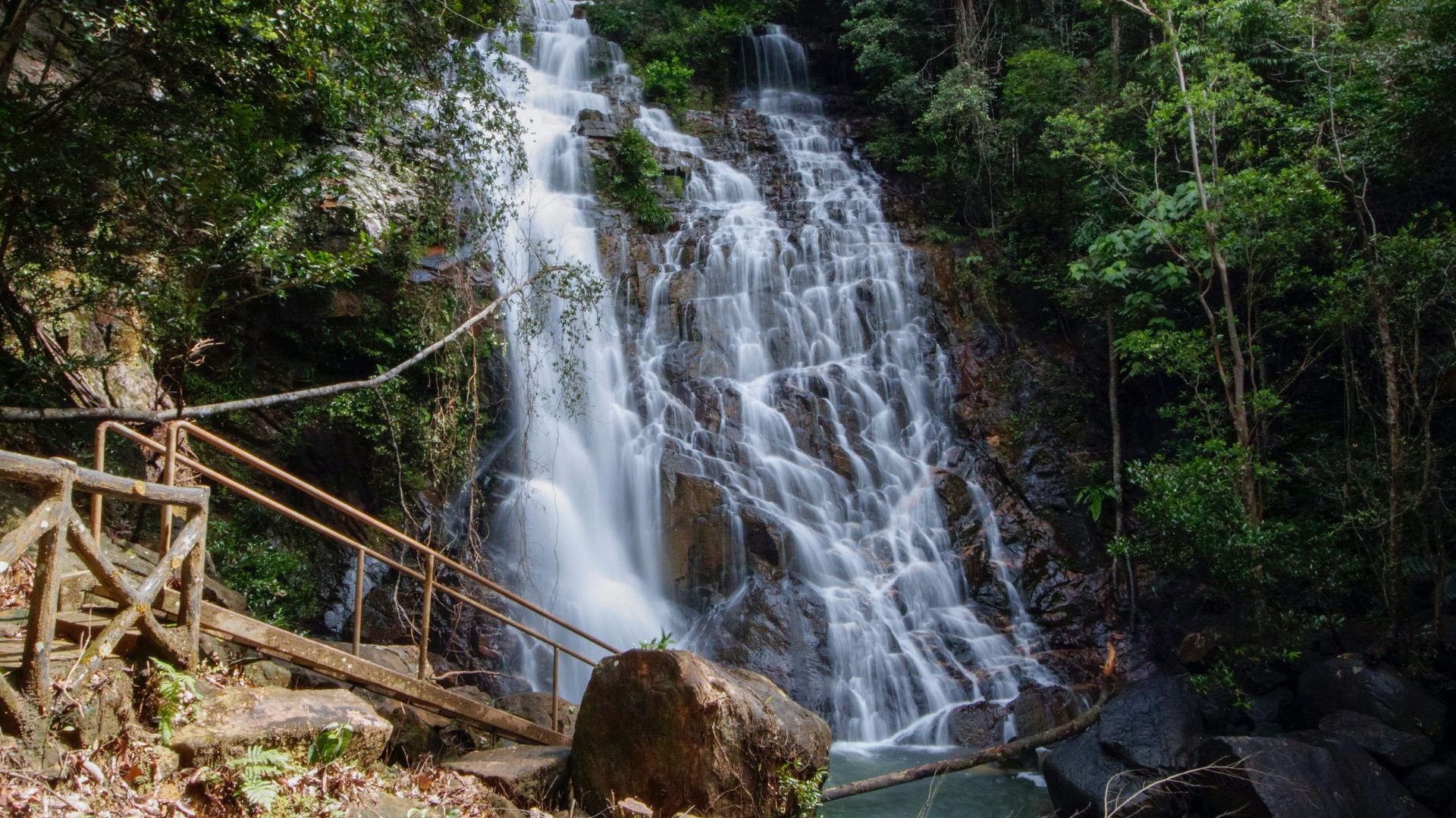 Taman Negara Nationalpark