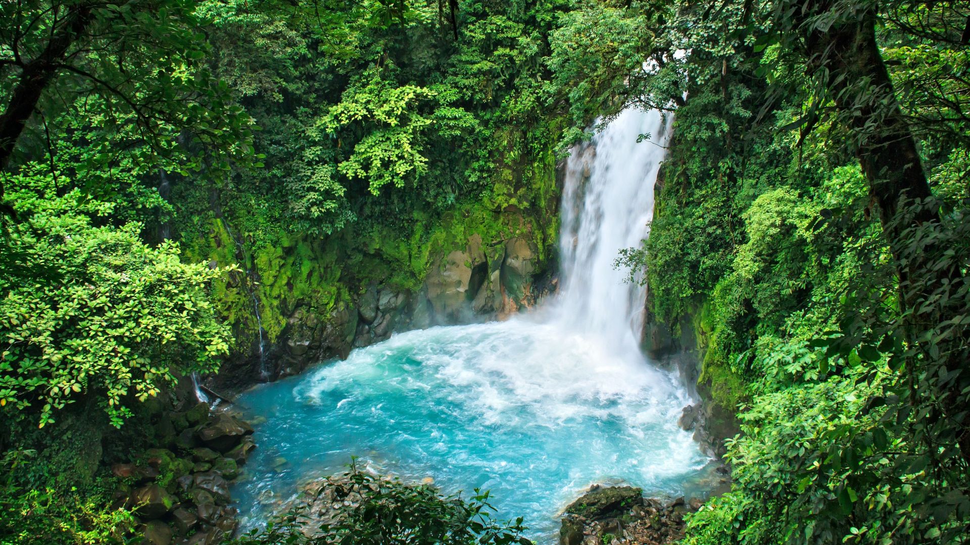 Tenorio Nationalpark