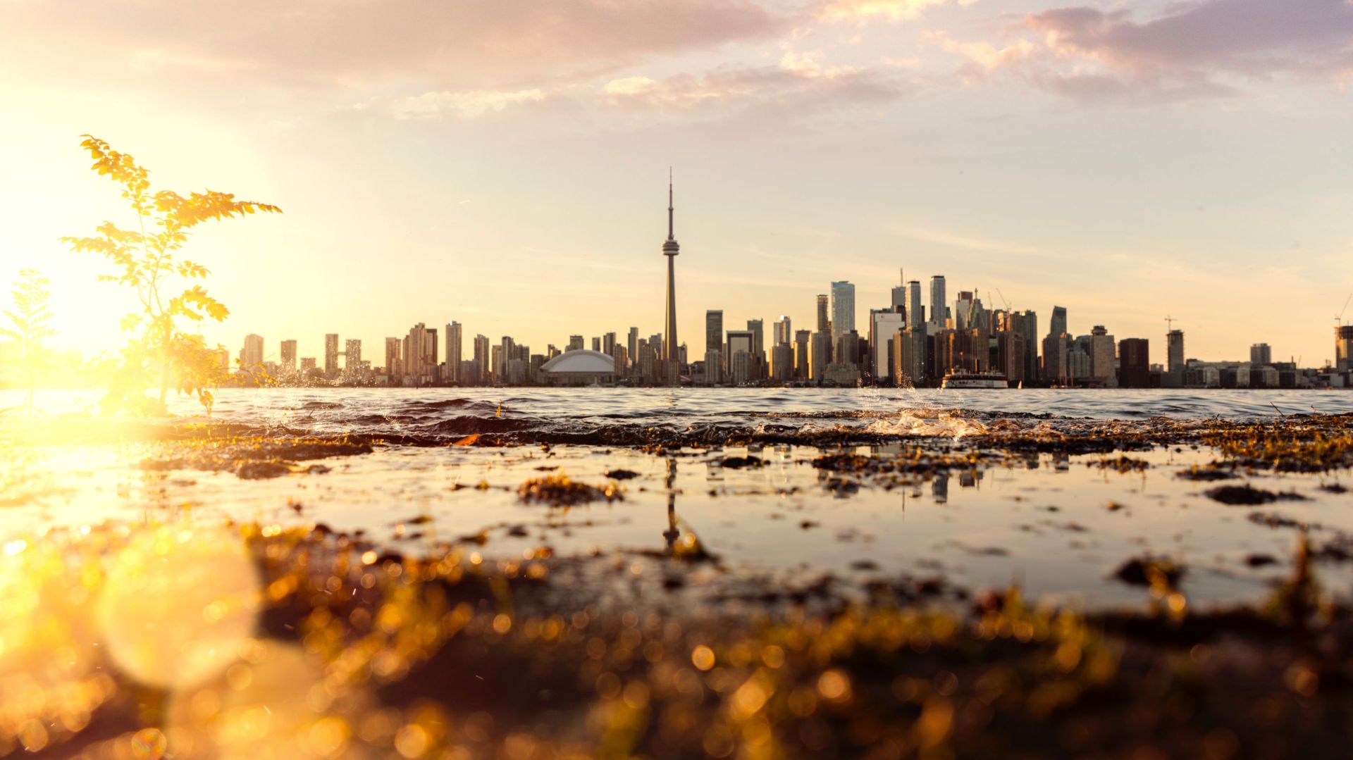 Toronto Island