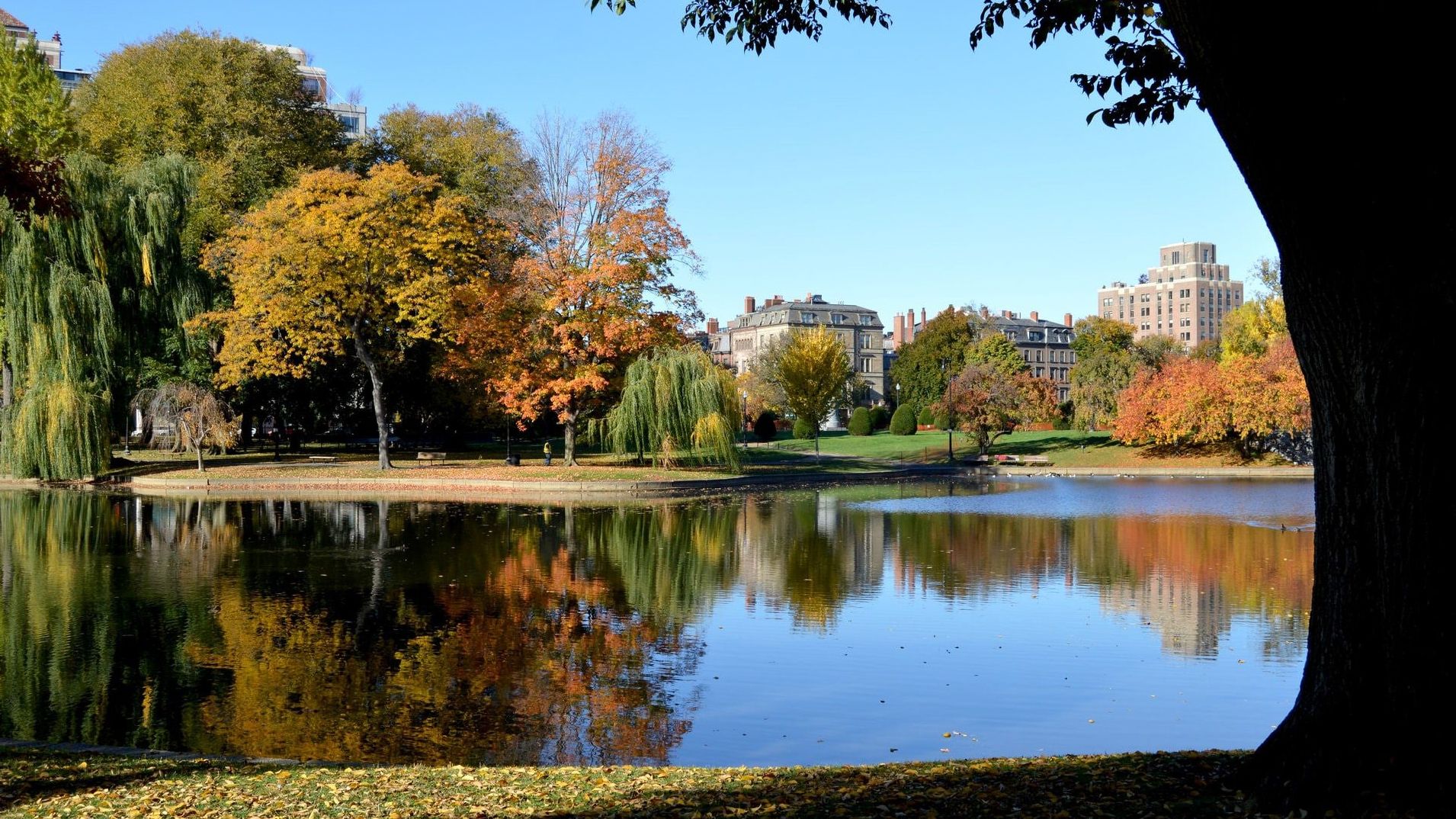 Boston Common