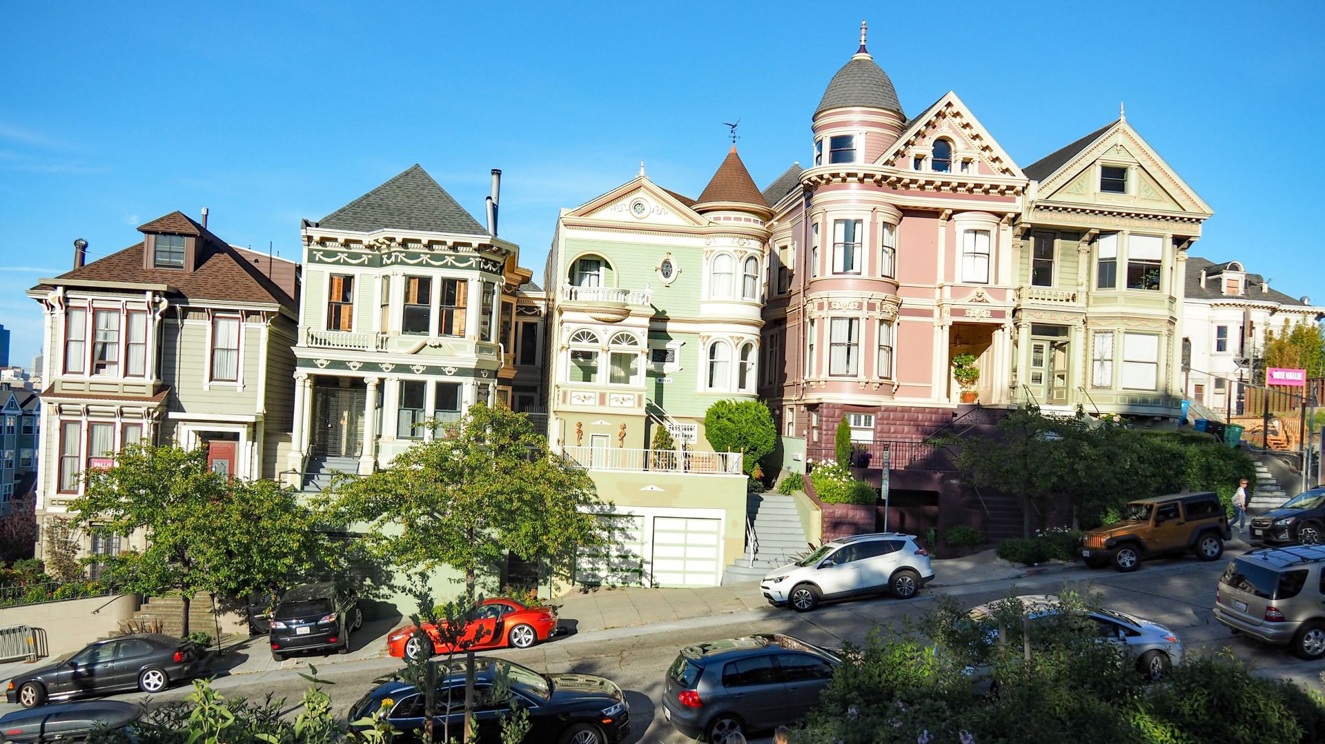 Painted Ladies