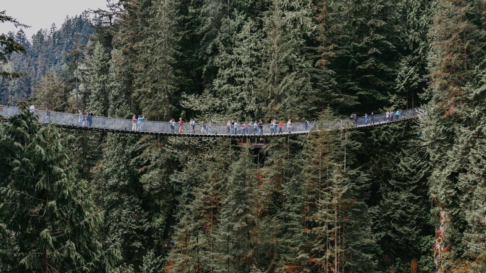 Capilano Suspension Bridge