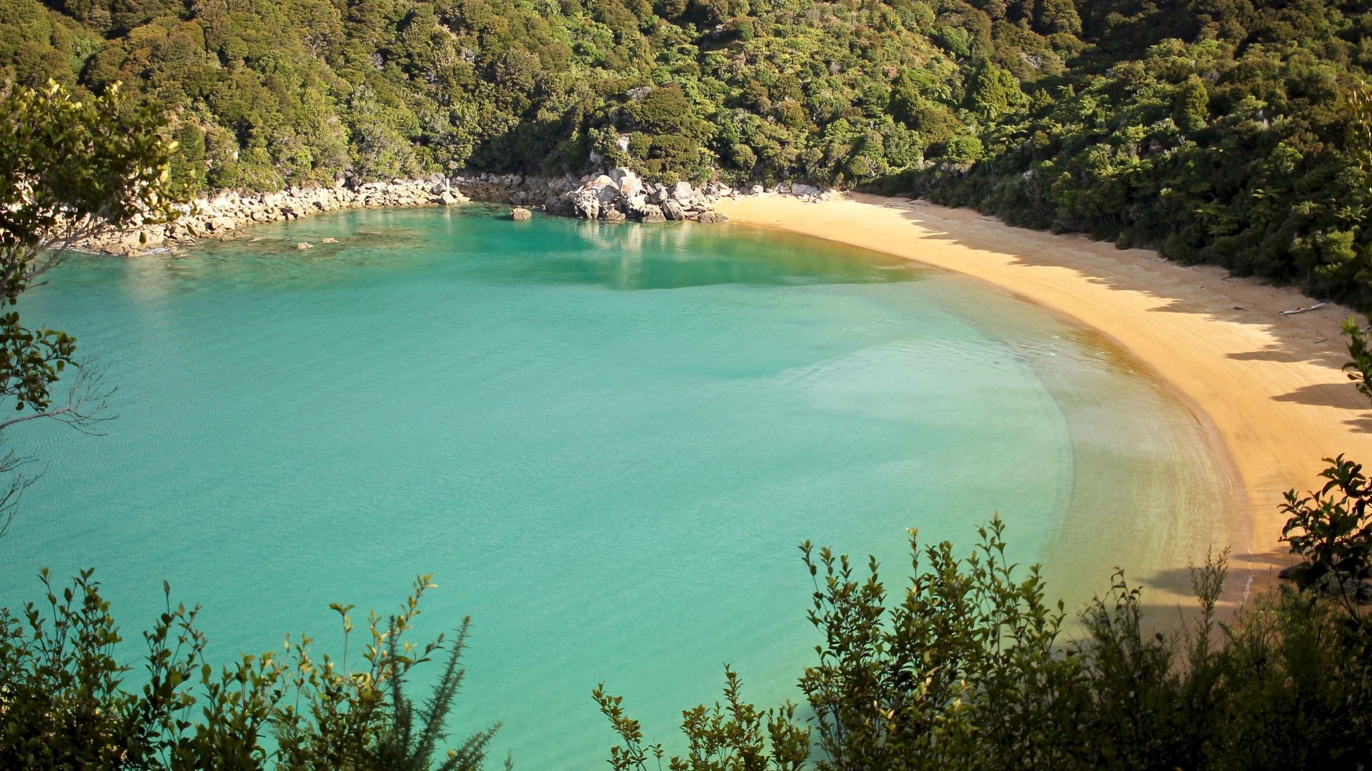 Abel Tasman