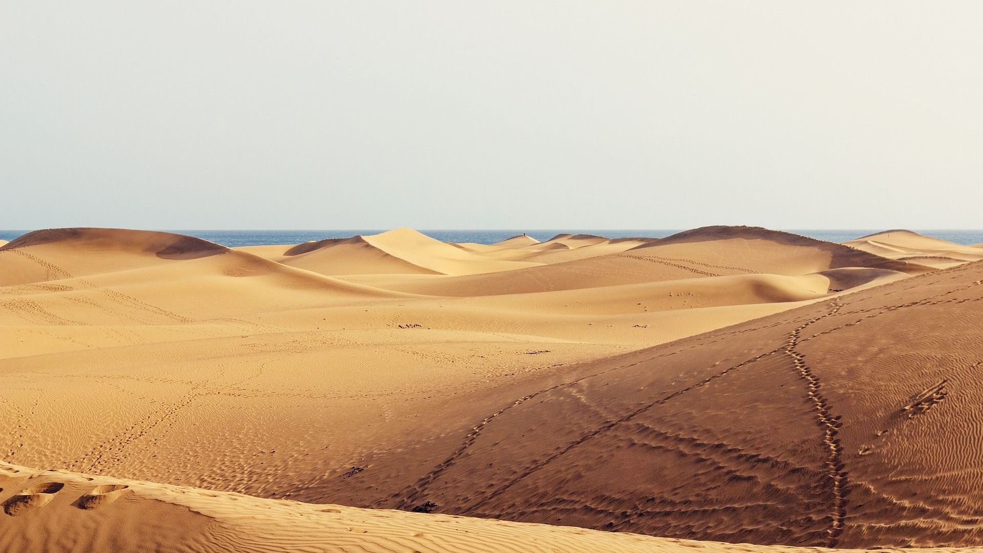 Die Dünen von Maspalomas