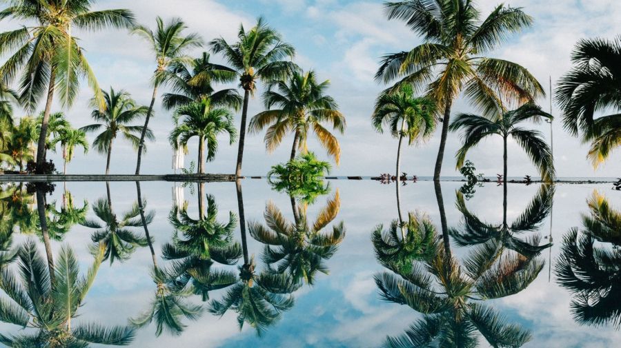 Hochzeitsreisen, Seychellen