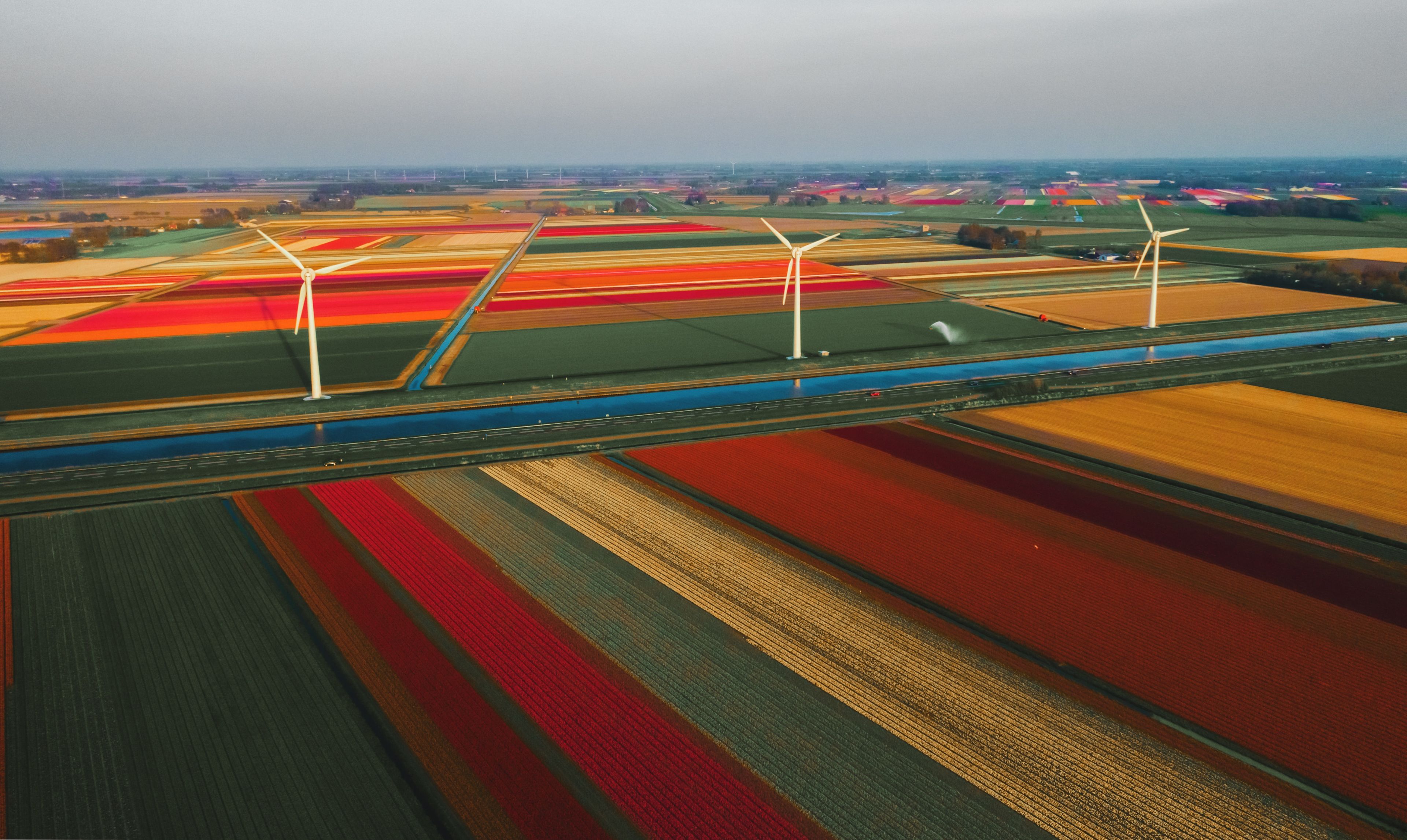 Niederlande, Landschaftsbild