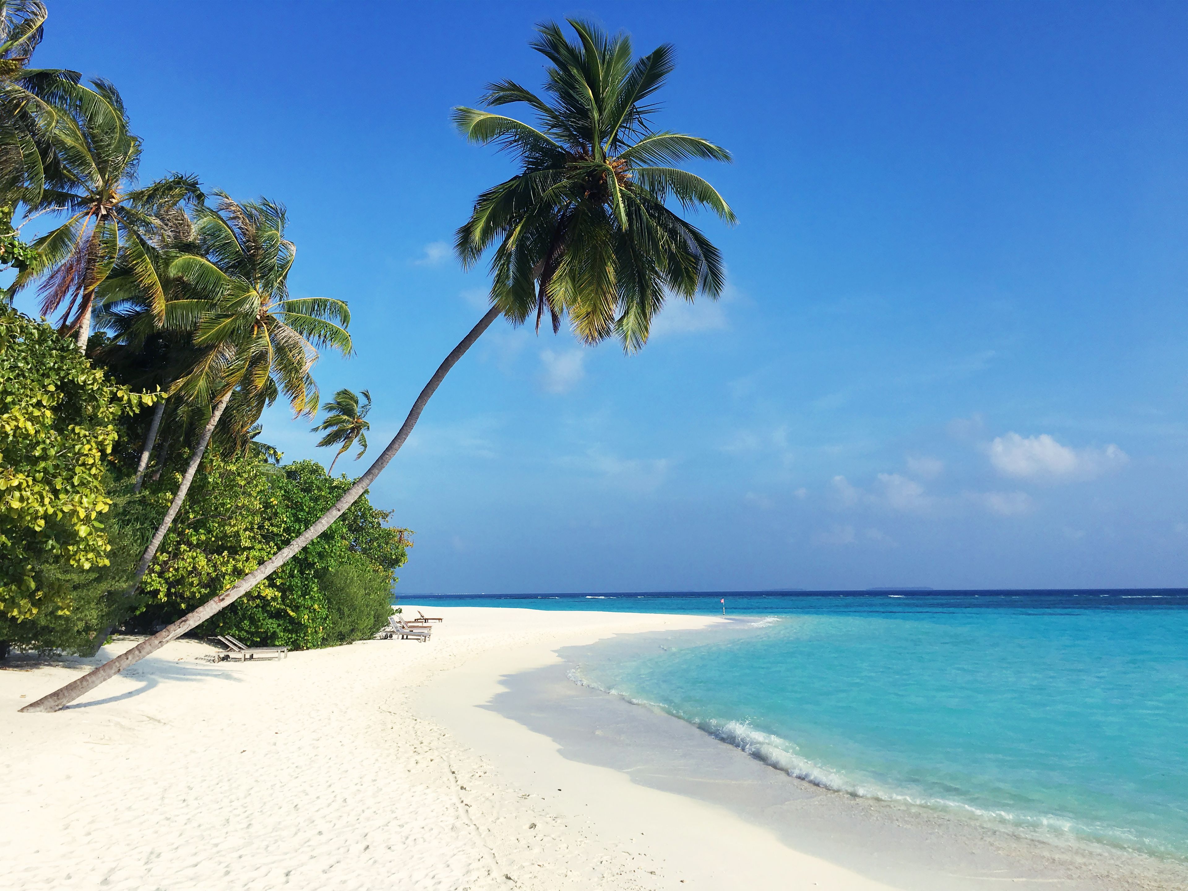Palmenstrand auf Mauritius im Indischen Ozean