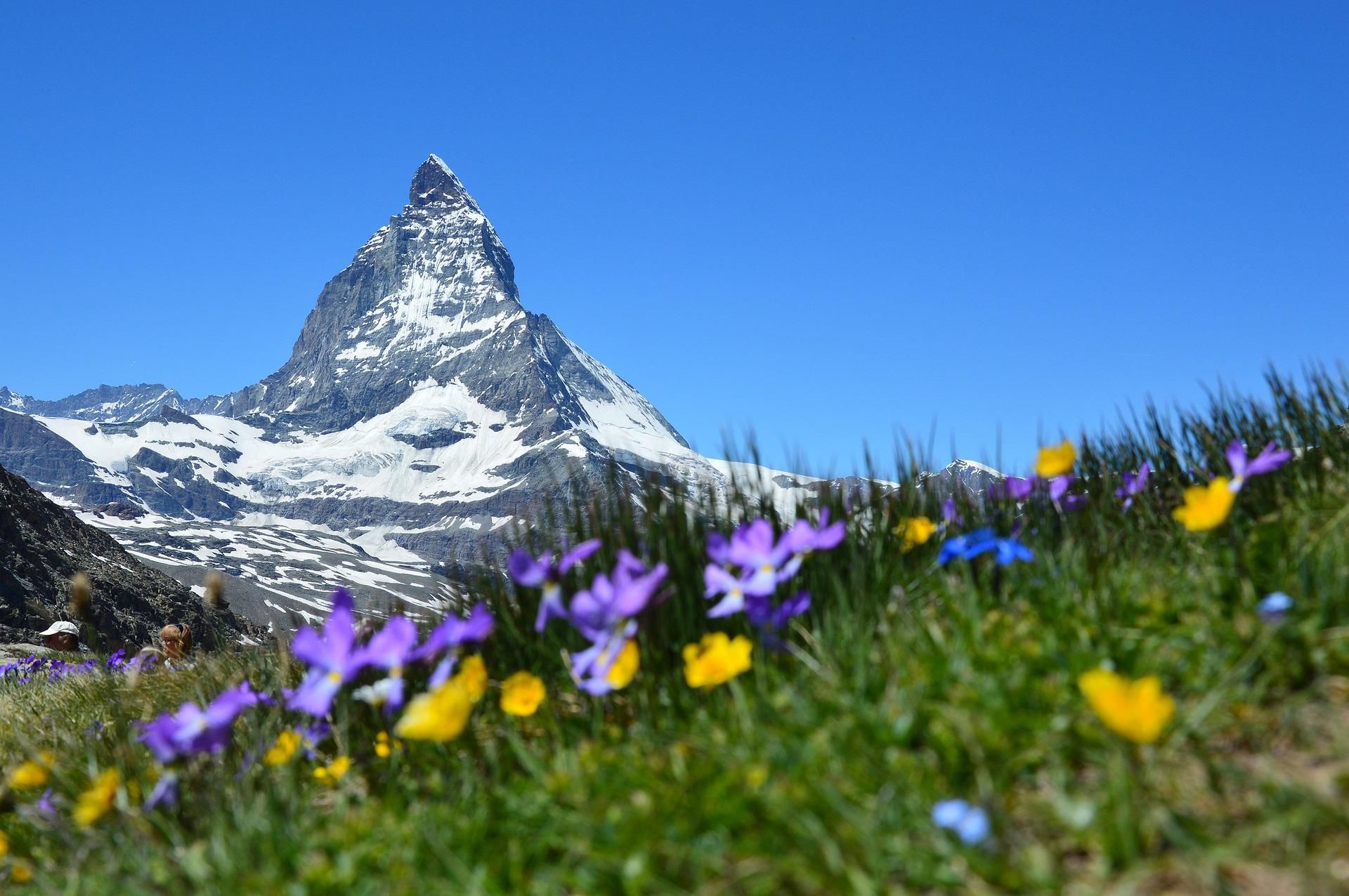 Schweiz, Blumenwiese